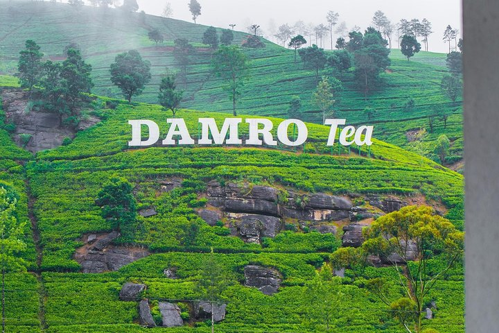 Tea factory plantation and Water Falls Tour - Photo 1 of 14